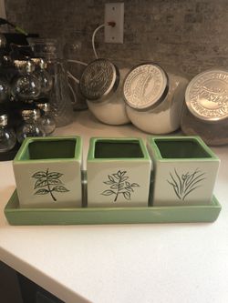 Bamboo base plant 🌱