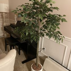 Fake Plant (Artificial Indoor Tree) 