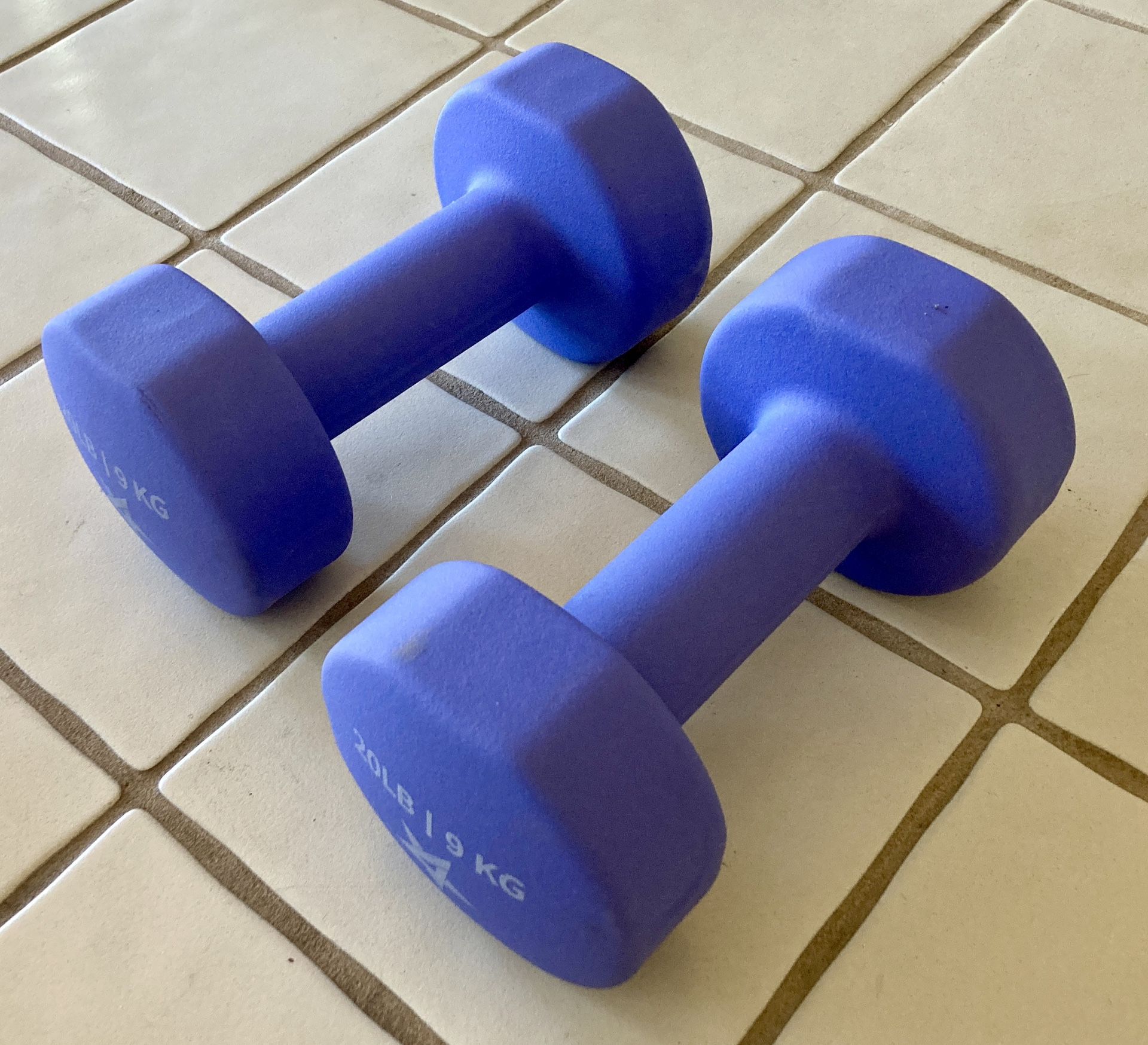 Purple Neoprene 20LB Dumbbell Hand Weights Exercise Set of 2