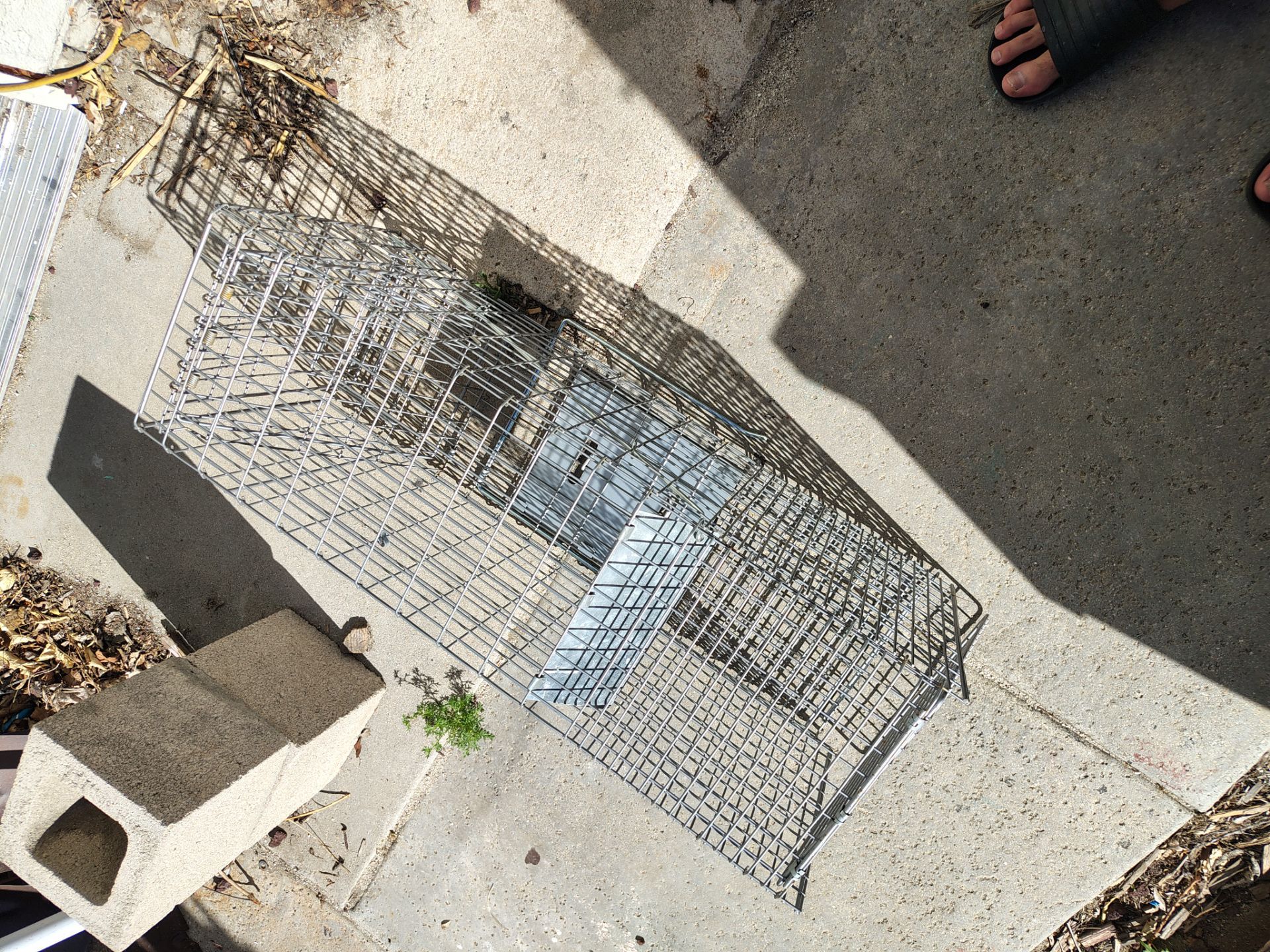 Cage new condition