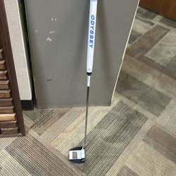 Honesty AI – one cruiser jailbird