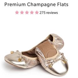 Foldable Flat Shoes (NEW)