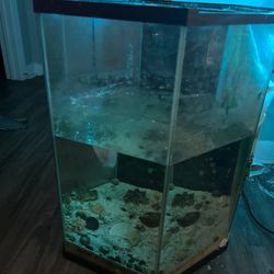 30 Gallon Tall Fish Tank