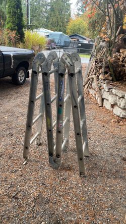 Folding ladder