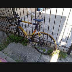 Bicycle