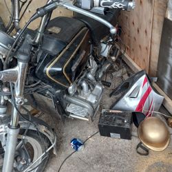 Honda Gold W