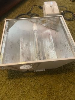 Grow light 600 watt switchable ballast