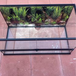 40 Gallon Terrarium