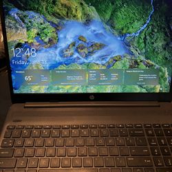 HP 255 G8 Notebook PC