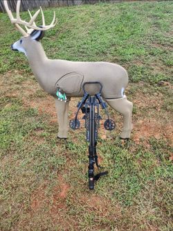Crossbow