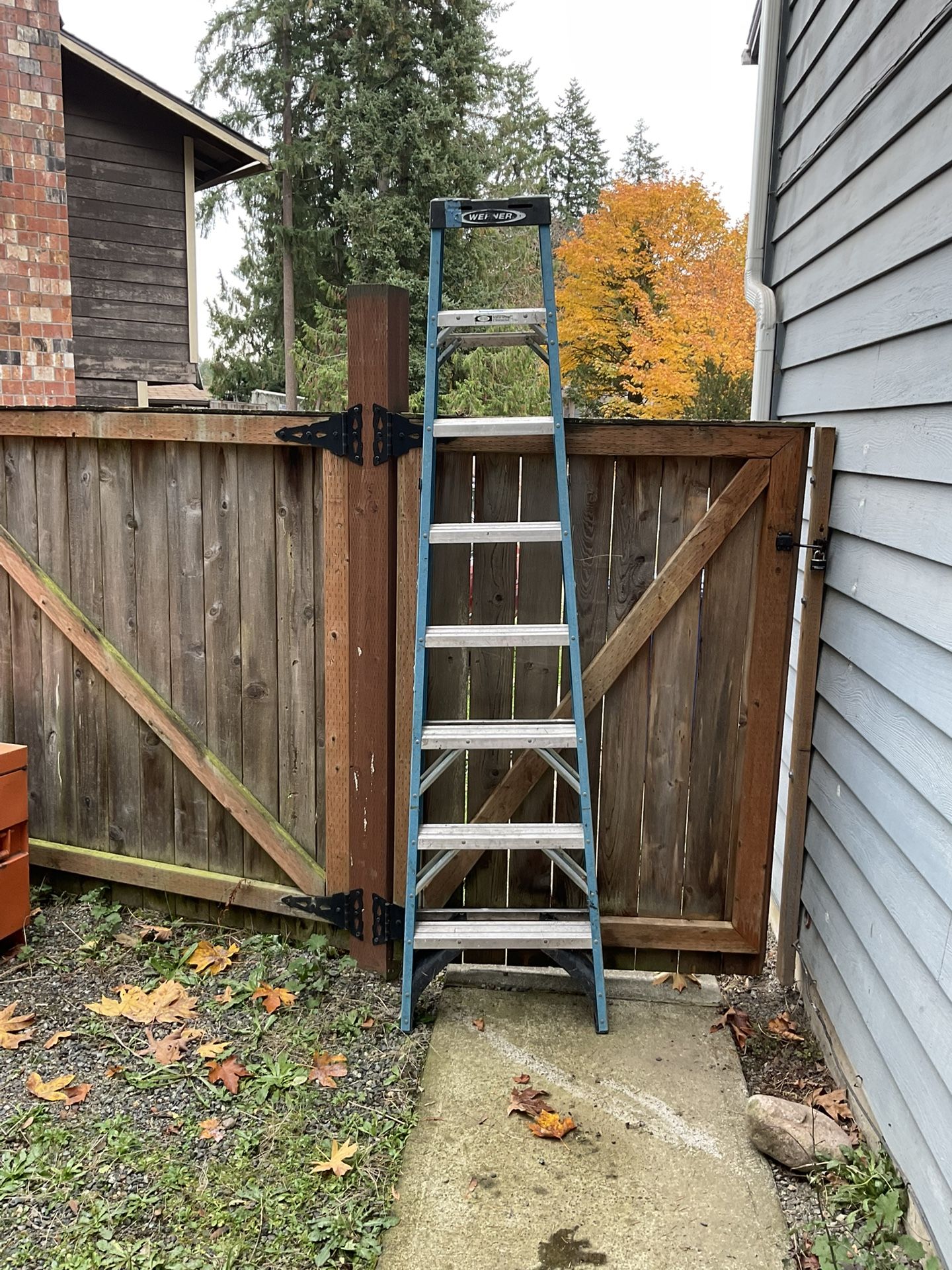 8’ Ladder