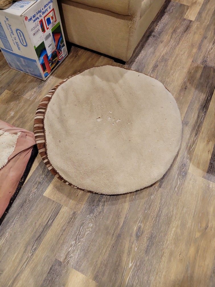 Free Large Used Dog Bed
