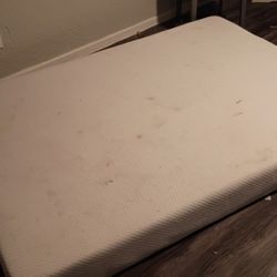 Queen Foam Mattress Certifi Us.