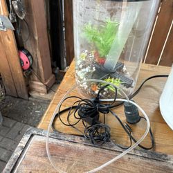 small round fish tank with lights and filter