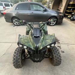 Coolster Quad 