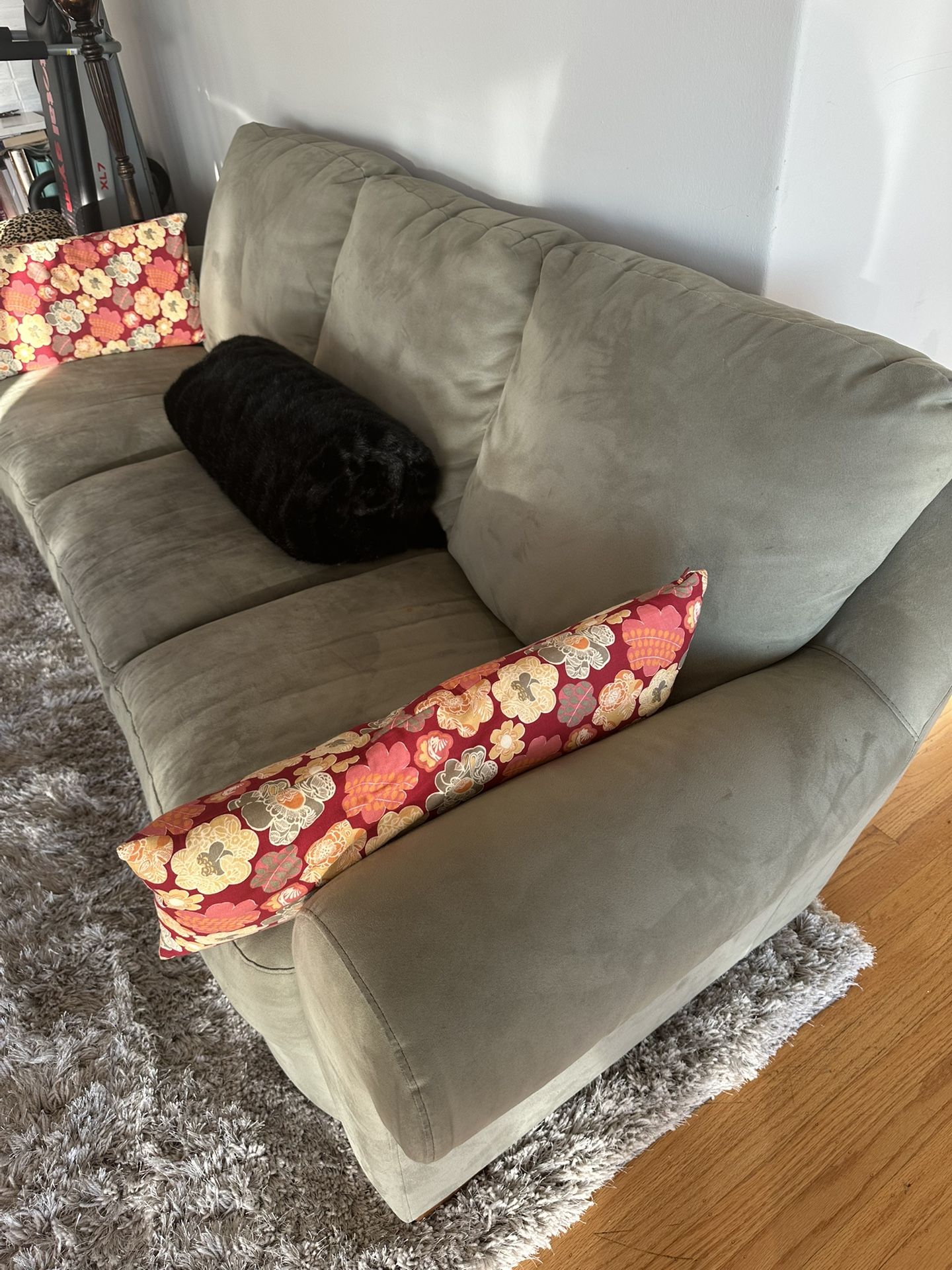 Nutuzzi Microfiber Couch