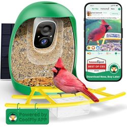 Smart Bird Feeder with Camera