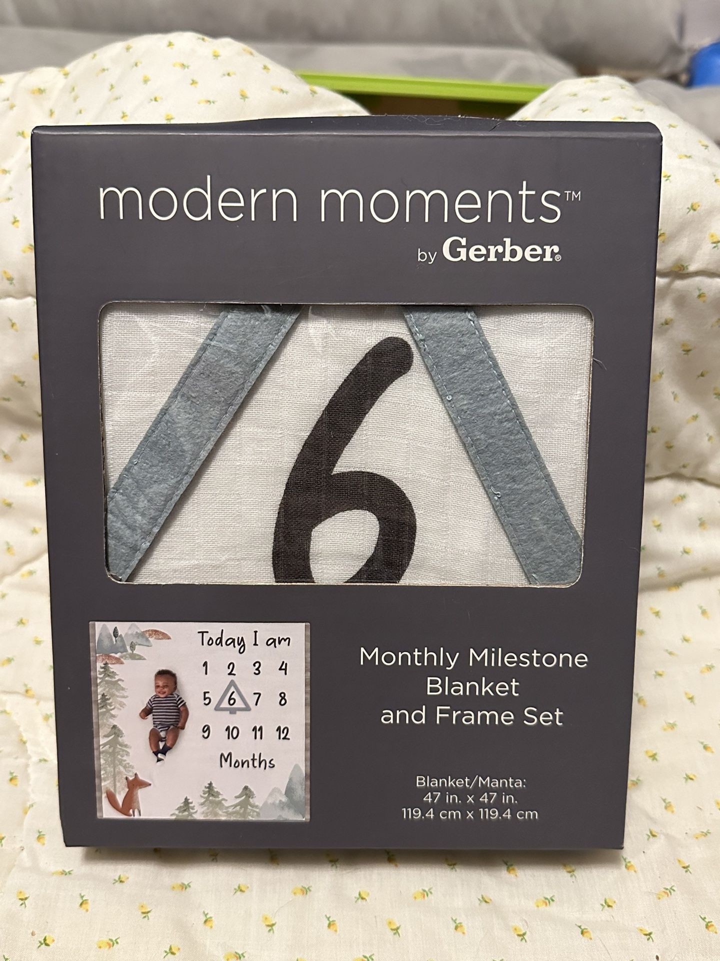 Monthly Milestone Blanket