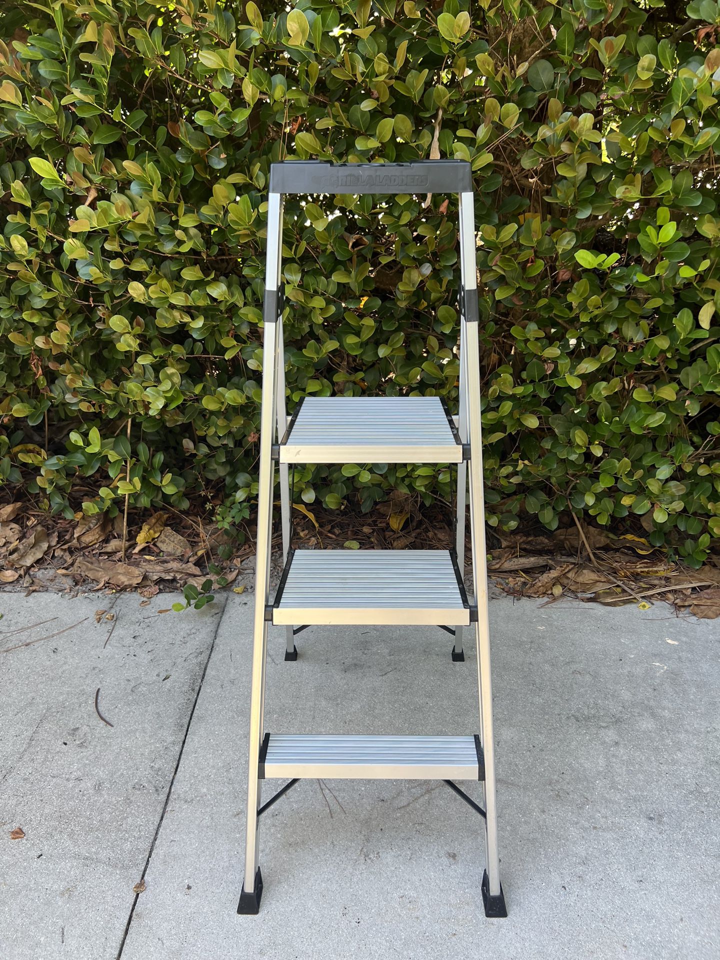 Ladder