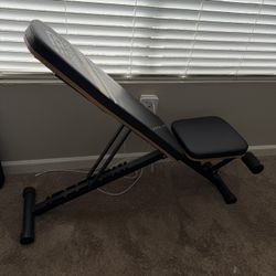 Workout Bench 