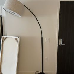 Living Room Floor Lamp Contemporary