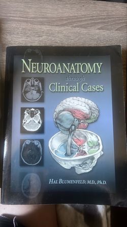 Neuroanatomy through Clinical Cases