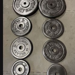 Weight Plates.      65 Dollars 