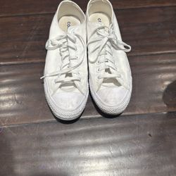 Converse Taylor All Star Shoe