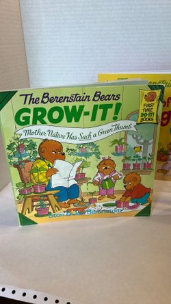 Bernstain Bear Book Lot