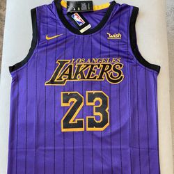 NBA Los Angeles Lakers Lebron James jersey 