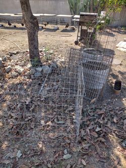 Jaula Para Aves 30"X30"