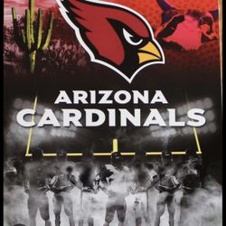 2 AZ Cardinals Tickets Vs Titans! 