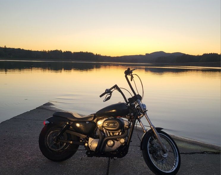 2005 Harley XL883