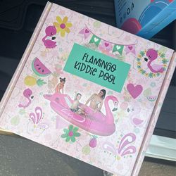 flamingo kiddie pool 