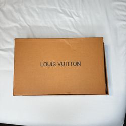 Louis Vuitton Lv Bag