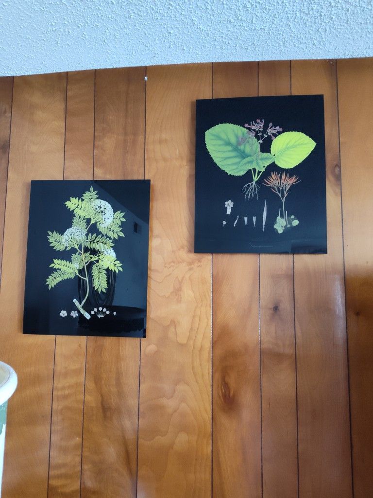 Florals On Plexiglass 