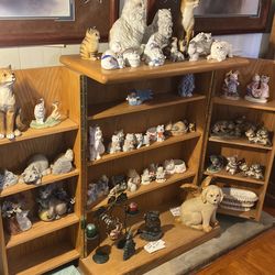 Cat collection  various prices inquire if interested