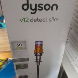 Dyson V12 Detect 