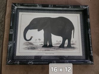 Framed Elephant Botanical Print 16x12 brand new