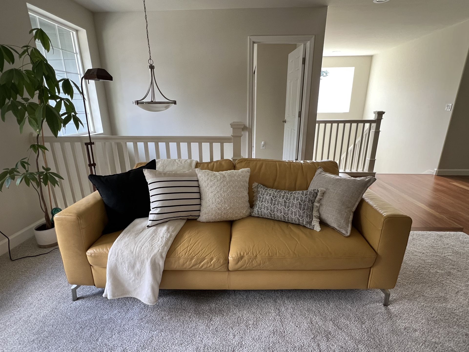 Modern Leather Couch (genuine leather)