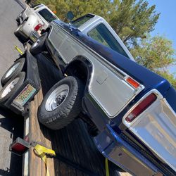 Paint Restoration 