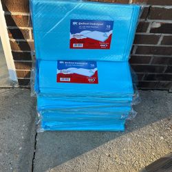 Spc Quilted Underpad 30x36 10 In Pack Never Opened There Is 100 Total Take All For 60
