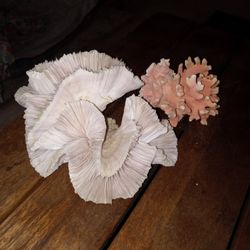 Aquarium Coral Pieces
