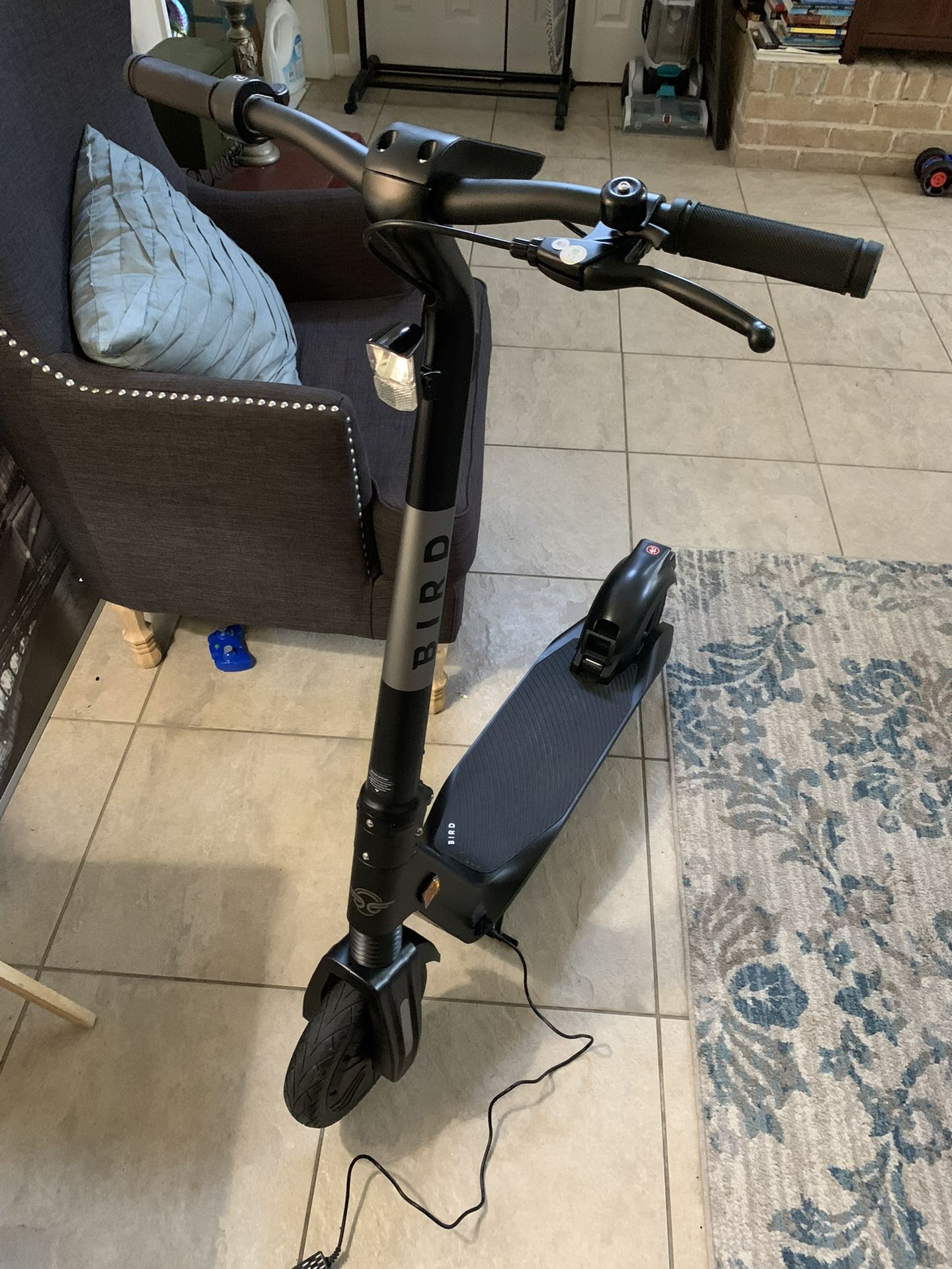 Bird Flex Scooter