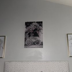 Wall Art Set With Bicycle And Floral Prints