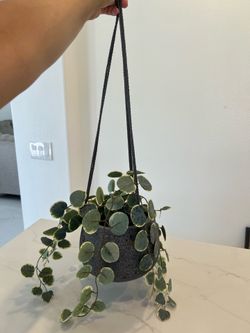 Faux hanging plant 27” & vase is 5.5”