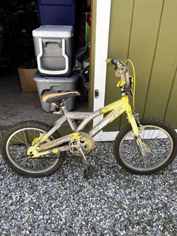 Next 18” Bike