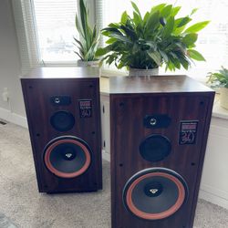 Cerwin Vega 12” Three Way Floor Standing Speaker’s