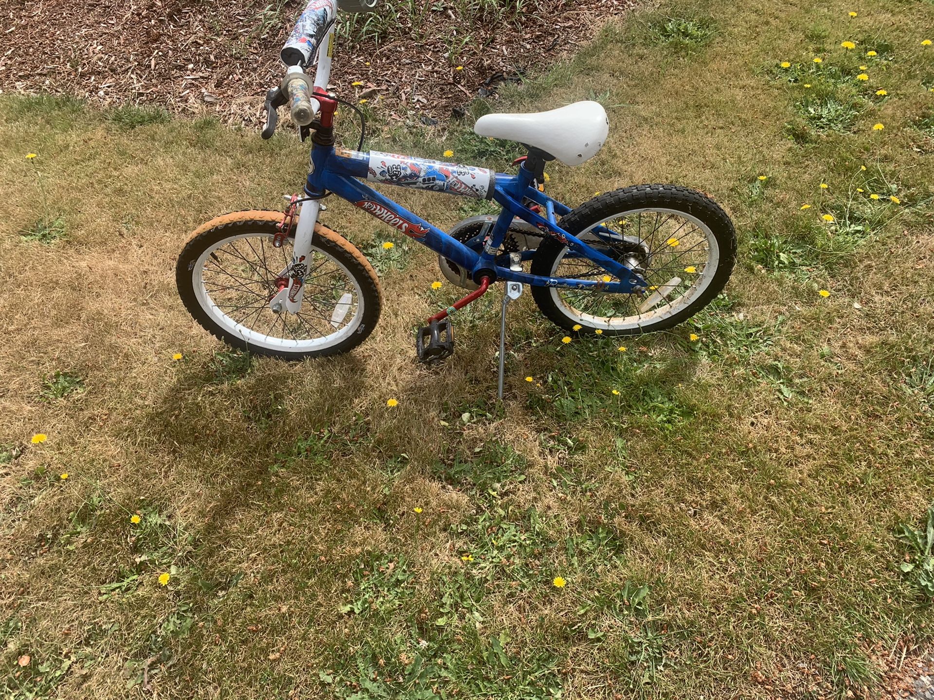 Free 16 inch boys bike