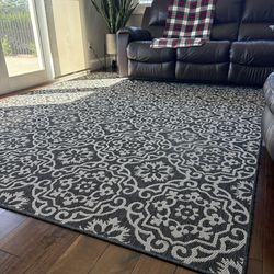 Indoor /Outdoor area rug 8’ x ‘10’